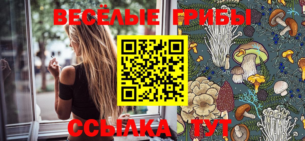 Сердобск  Псилоцибиновые грибы Psilocybine cubensis  Вход с VPN 