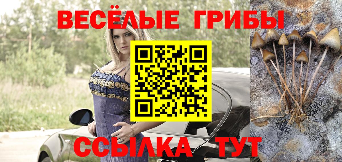 Псилоцибиновые грибы Magic Shrooms Сердобск